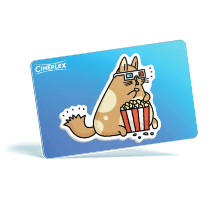 Wertgutschein Popcornkatze