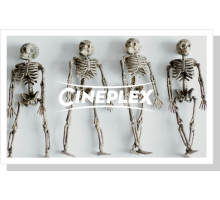 Onlinegutschein Knochengeklapper