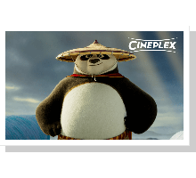 Onlinegutschein Kung Fu Panda